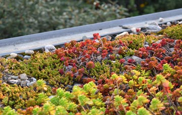 the cost of Middle Bockhampton green roof installation