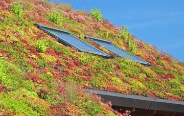 Middle Bockhampton living roof systems