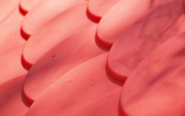 Middle Bockhampton plastic roof costs