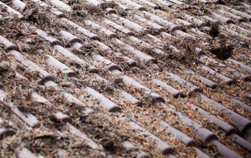 Middle Bockhampton roof cleaning companies