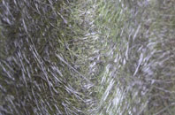 Middle Bockhampton fibreglass roof work